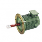 Electric Motor (Flanged)